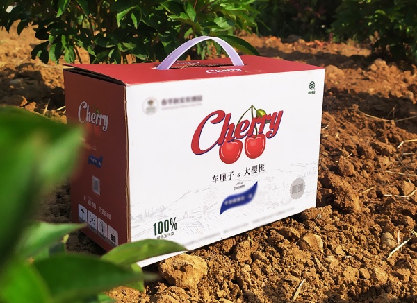 櫻桃、車(chē)?yán)遄佣Y盒